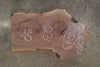 Oregon Black Walnut Slab 012625-17