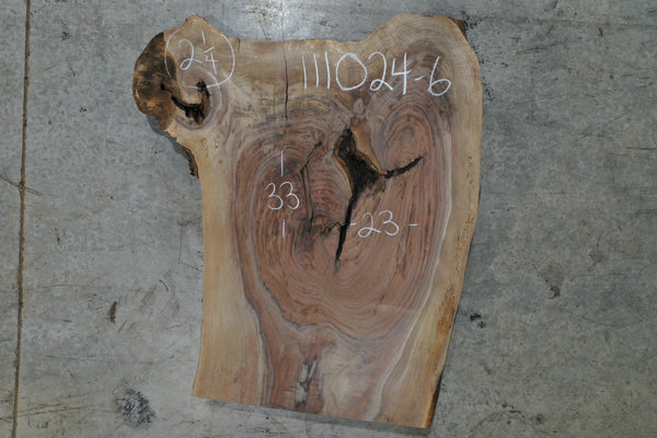 Oregon Black Walnut Slab 111024-06