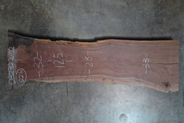 Oregon Black Walnut Slab 032322-2