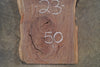 Oregon Black Walnut Slab 012625-17