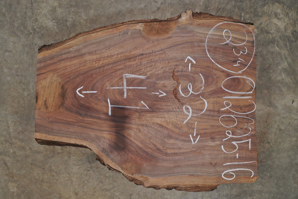 Oregon Black Walnut Slab 012625-16