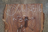 Oregon Black Walnut Slab 012625-16