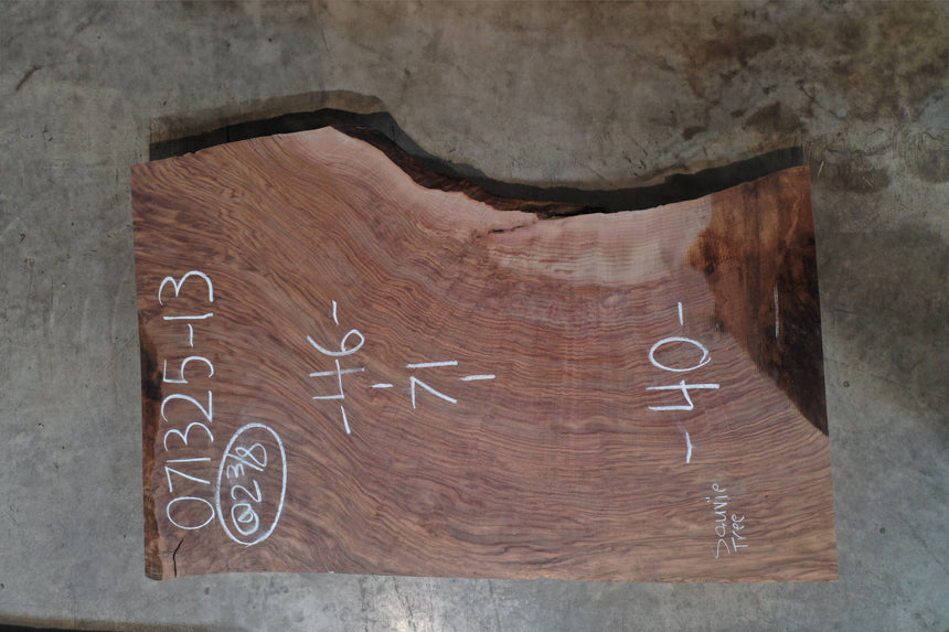 Oregon Black Walnut Slab 071325-13 SI