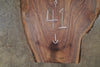 Oregon Black Walnut Slab 012625-16