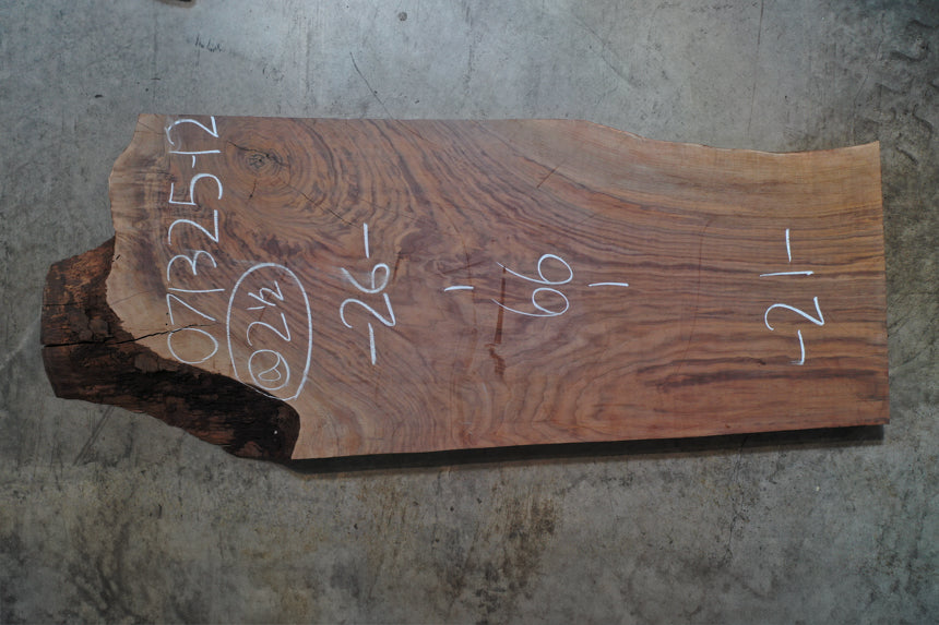 Oregon Black Walnut Slab 071325-12