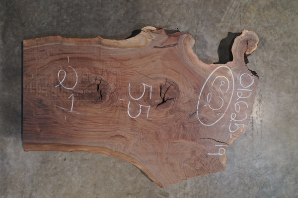 Oregon Black Walnut Slab 012625-19