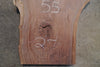 Oregon Black Walnut Slab 012625-19