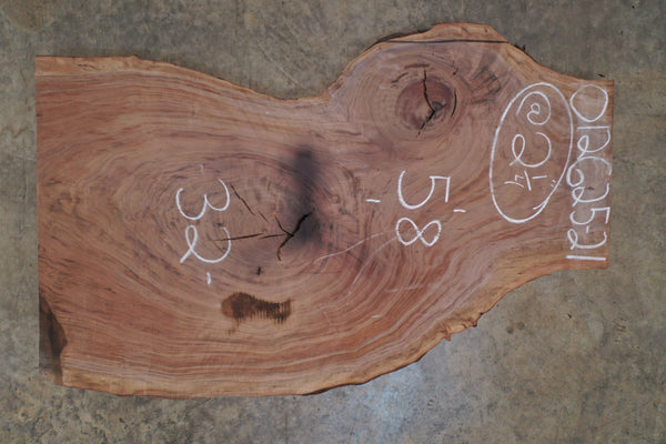 Oregon Black Walnut Slab 012625-21