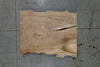 Elm Slab 110324-01