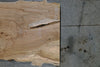 Elm Slab 110324-01