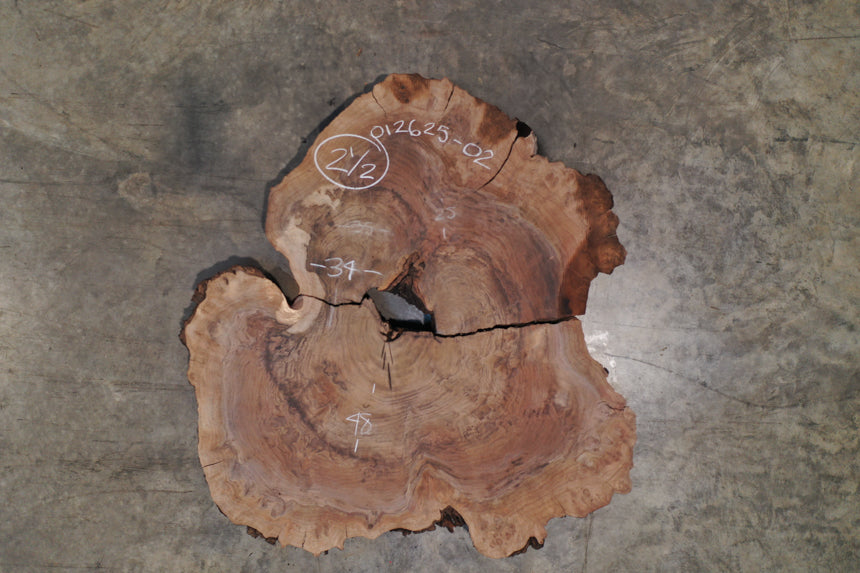 English Walnut Round 012625-02