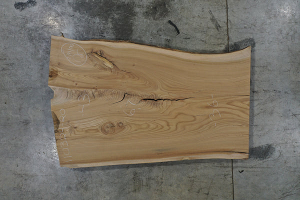 Elm Slab 110324-20