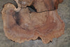 English Walnut Round 012625-02