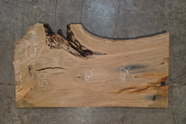 Oregon White Oak Slab 072025-10 MA
