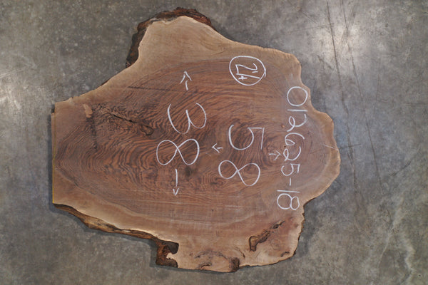 Oregon Black Walnut Round 012625-18