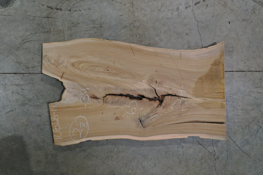 Elm Slab 110324-19