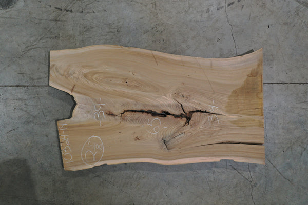 Elm Slab 110324-19