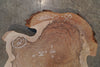 English Walnut Round 012625-05