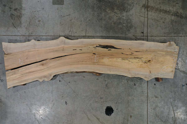 Big Leaf Maple Slab 110324-04