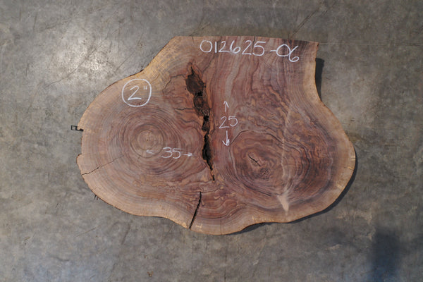 Oregon Black Walnut Round 012625-06