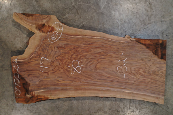 Oregon Black Walnut Slab 072025-2