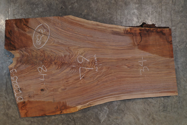 Oregon Black Walnut Slab 072025-3
