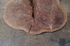 Oregon Black Walnut Round 012625-06