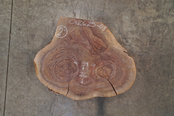 Oregon Black Walnut Round 012625-08