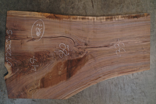 Oregon Black Walnut Slab 072025-5