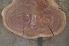 Oregon Black Walnut Round 012625-08