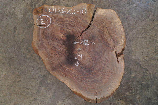 Oregon Black Walnut Round 012625-10