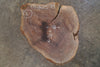 Oregon Black Walnut Round 012625-10