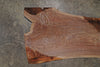 Oregon Black Walnut Slab 072025-7