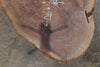 Oregon Black Walnut Round 012625-10