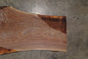 Oregon Black Walnut Slab 072025-7