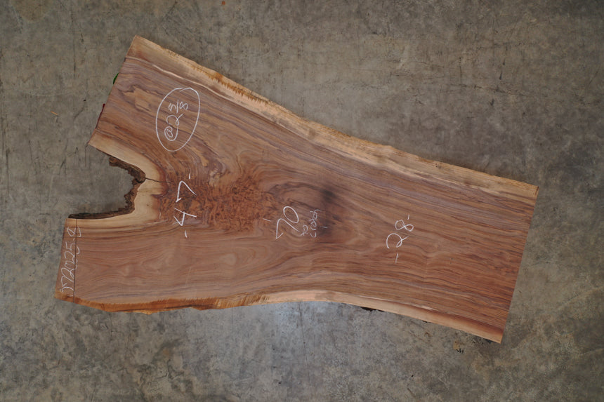 Oregon Black Walnut Slab 072025-8