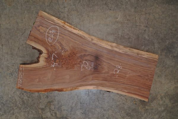 Oregon Black Walnut Slab 072025-8