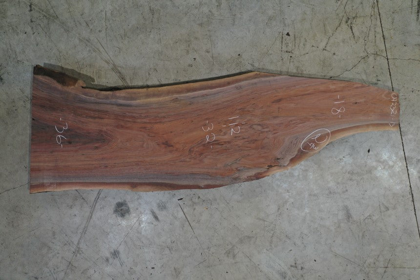 Oregon Black Walnut Slab 092321-13