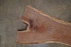 Oregon Black Walnut Slab 072025-8