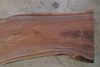 Oregon Black Walnut Slab 092321-13