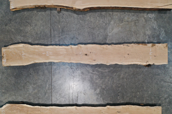 Oregon White Oak Slab 082724-04