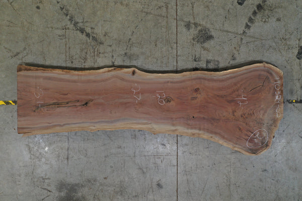 Oregon Black Walnut 110324-02