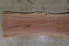 Oregon Black Walnut 110324-02