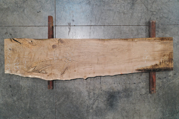 Oregon White Oak Slab 082724-05