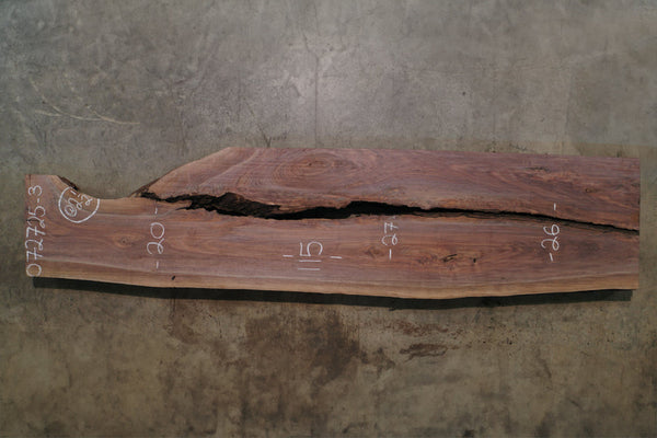 Oregon Black Walnut Slab 072725-3