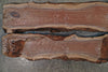 Oregon Black Walnut Bookmatch BMBW-1478