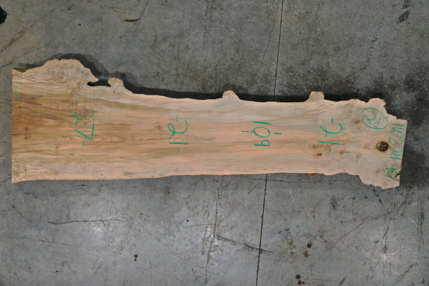 Big Leaf Maple Slab 110324-10