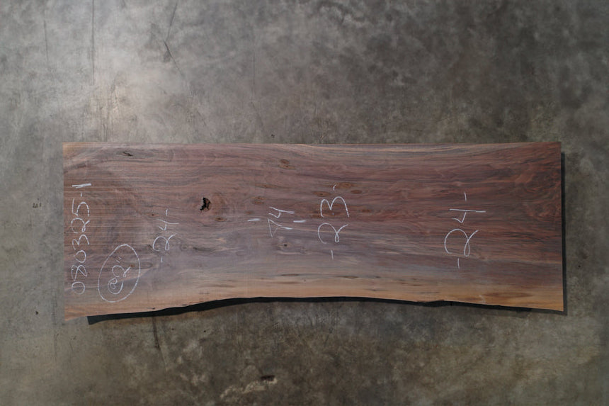 Oregon Black Walnut Slab 080325-1