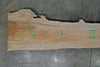 Big Leaf Maple Slab 110324-10