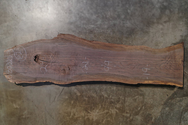 Oregon Black Walnut Slab 080325-3